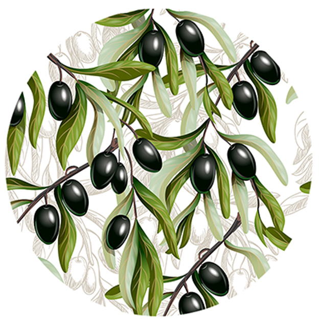 OLIVAS NEGRAS