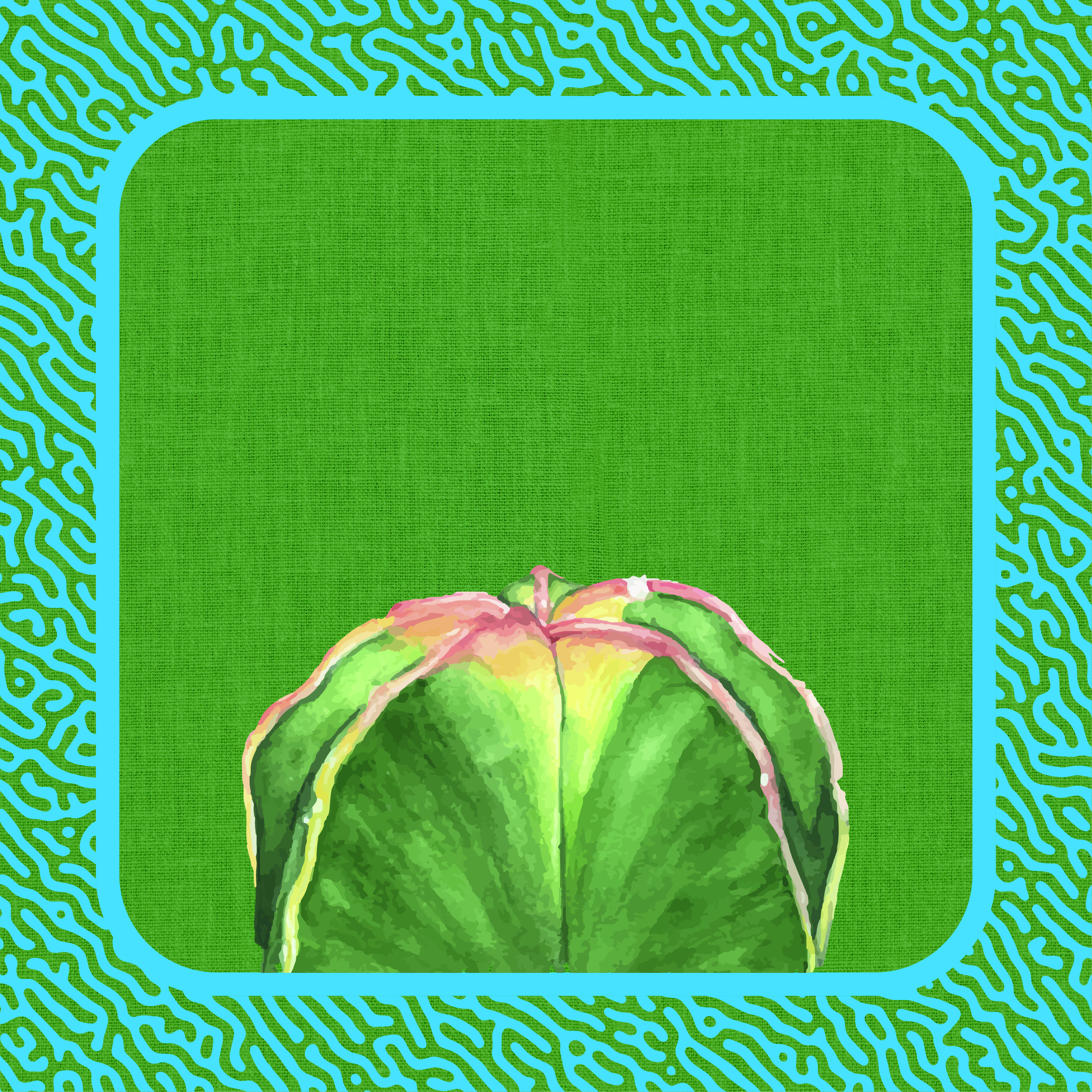 Cactus Verde Azul 61x61-01