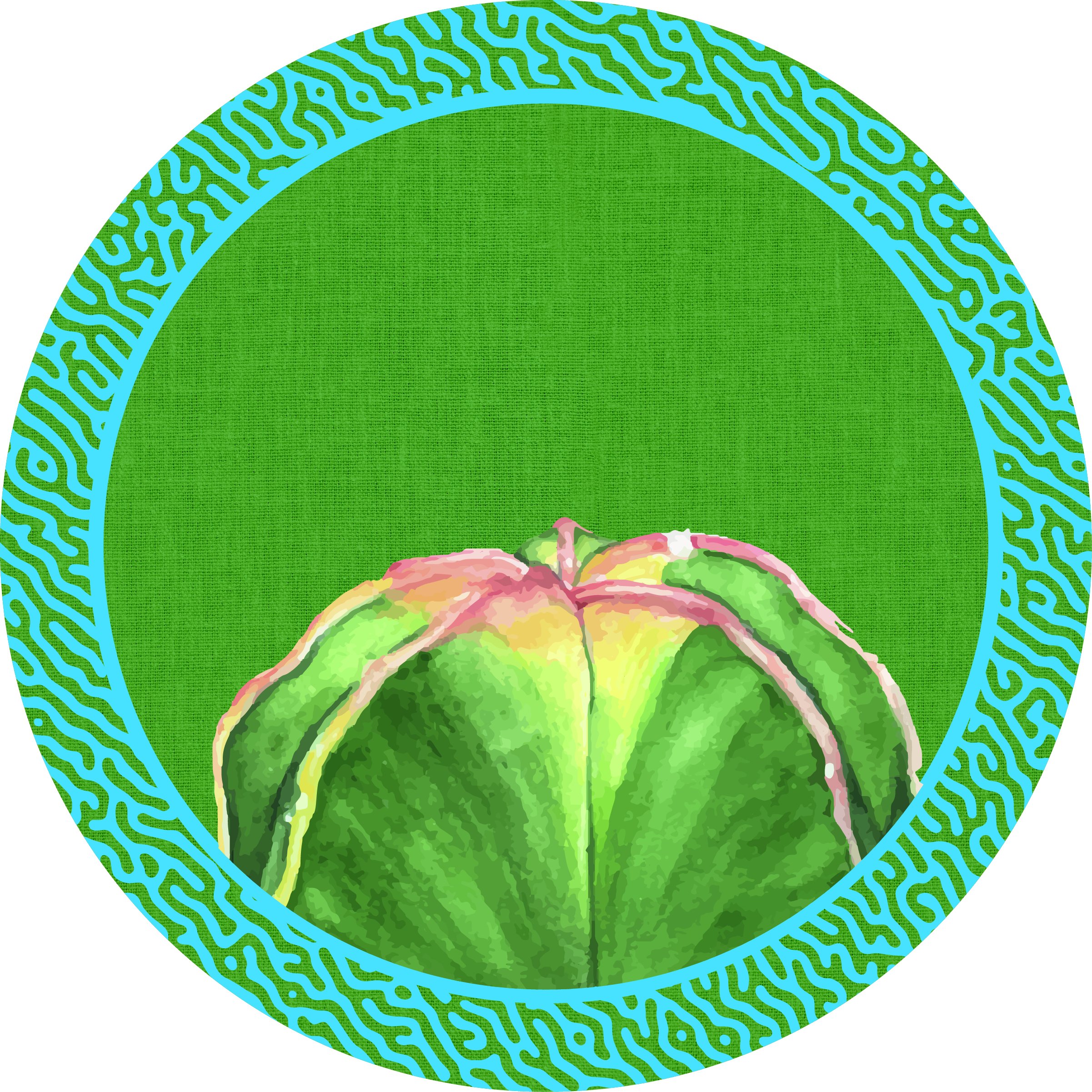 Cactus Verde Azul Circulo 61x61-01